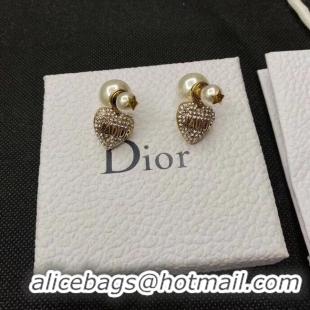 Good Product Dior Earrings CE5362