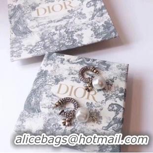 New Style Dior Earrings CE5363