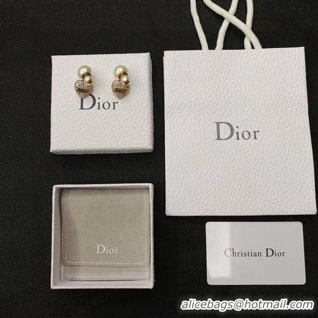 New Style Dior Earrings CE5363