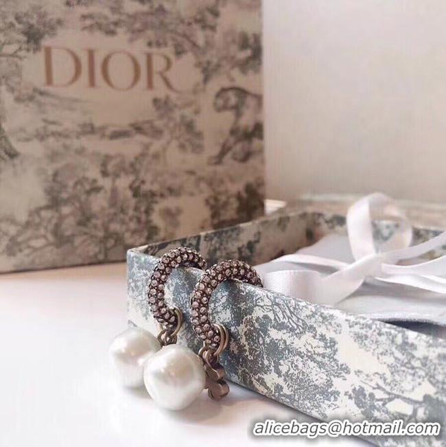 New Style Dior Earrings CE5363