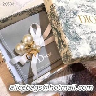 Top Quality Dior Earrings CE5364