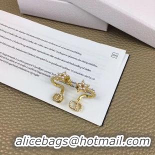 Best Grade Dior Earrings CE5365