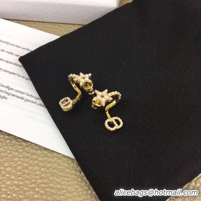 Best Grade Dior Earrings CE5365