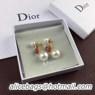 Good Quality Dior Earrings CE5369