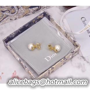 Good Quality Dior Earrings CE5444