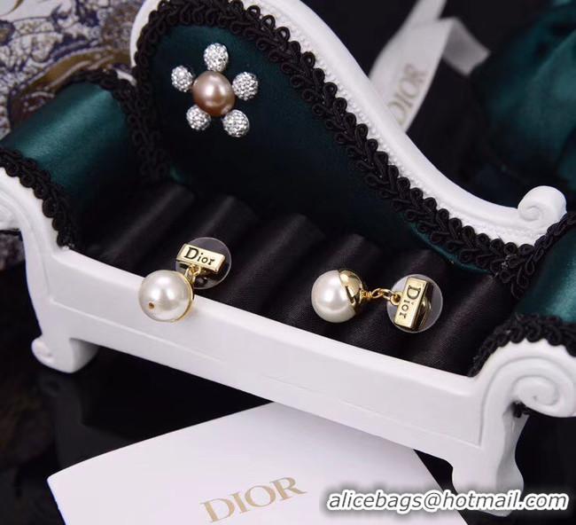 Good Quality Dior Earrings CE5444