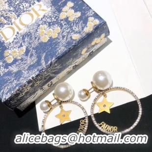 Popular Style Dior Earrings CE5454