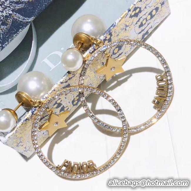 Popular Style Dior Earrings CE5454