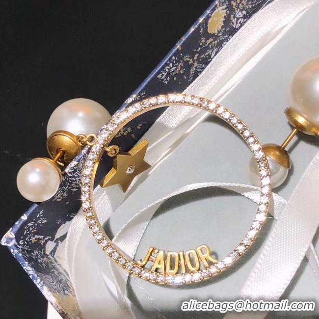 Popular Style Dior Earrings CE5454