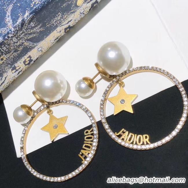 Popular Style Dior Earrings CE5454