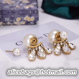 Good Looking Dior Earrings CE5456