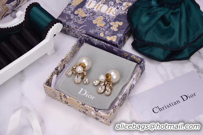 Good Looking Dior Earrings CE5456