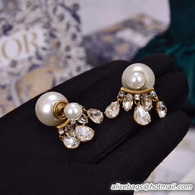 Good Looking Dior Earrings CE5456