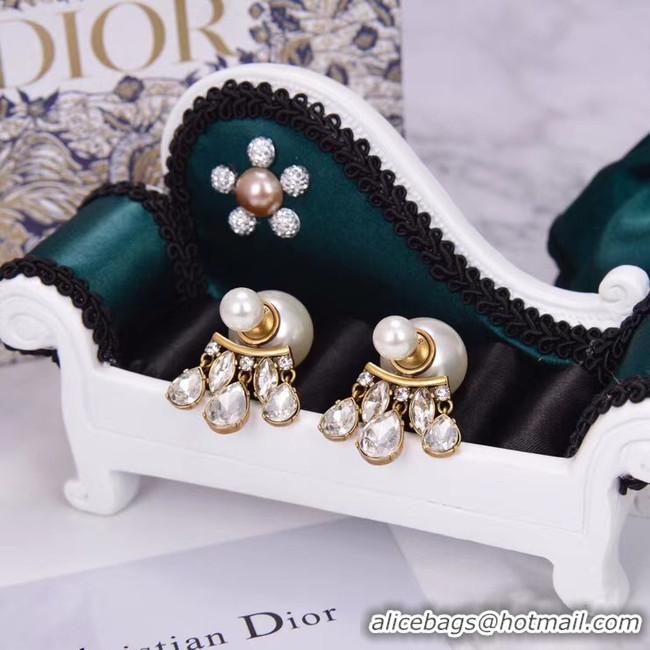 Good Looking Dior Earrings CE5456