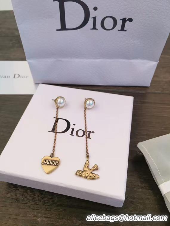 Luxury Dior Earrings CE5552