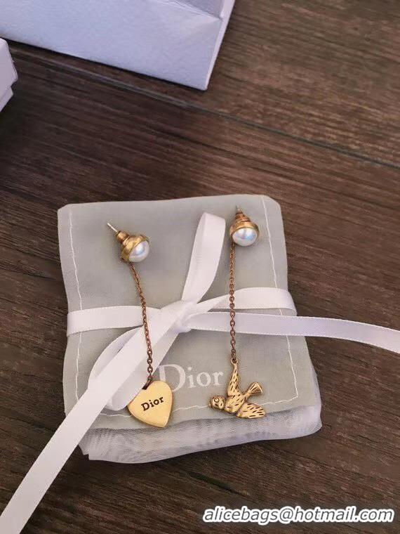 Luxury Dior Earrings CE5552