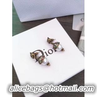 Discount Dior Earrings CE5555