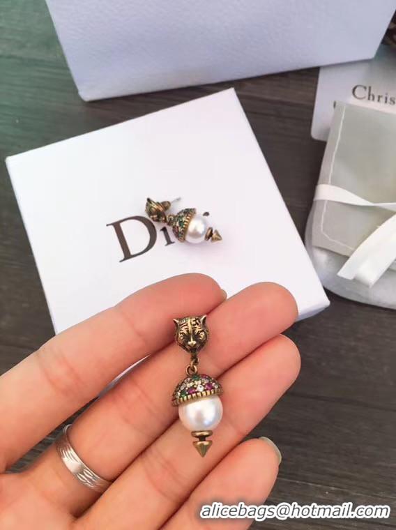 Discount Dior Earrings CE5555