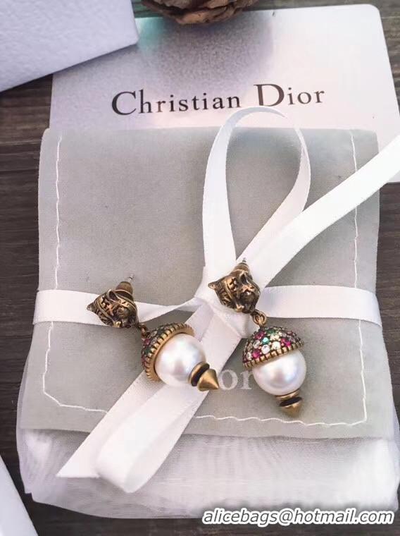 Discount Dior Earrings CE5555