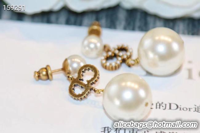  Grade Quality Dior Earrings CE5557