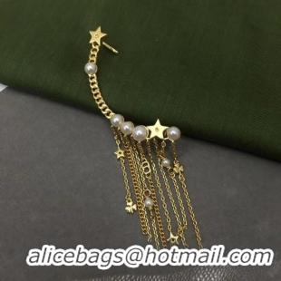 Good Quality Dior Earrings CE5559