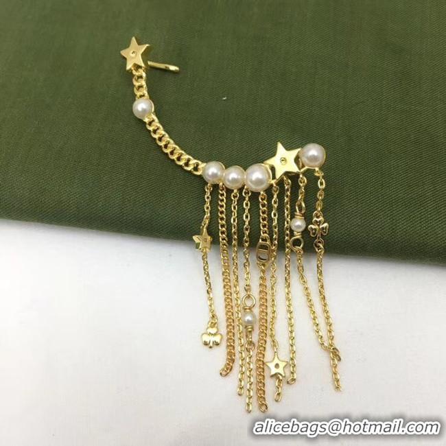 Good Quality Dior Earrings CE5559