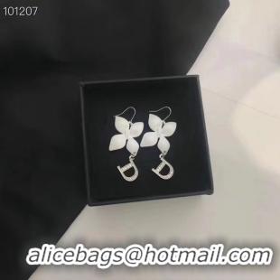 Popular Style Dior Earrings CE5560