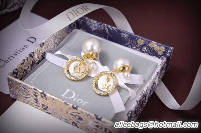 Good Quality Dior Earrings CE5667