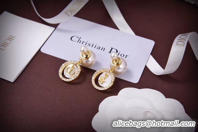 Good Quality Dior Earrings CE5667