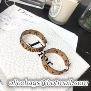 Super Quality Dior Earrings CE5668