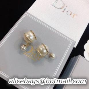 Top Quality Dior Earrings CE5669