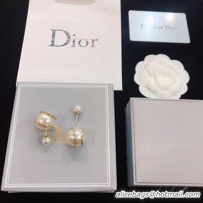 Top Quality Dior Earrings CE5669