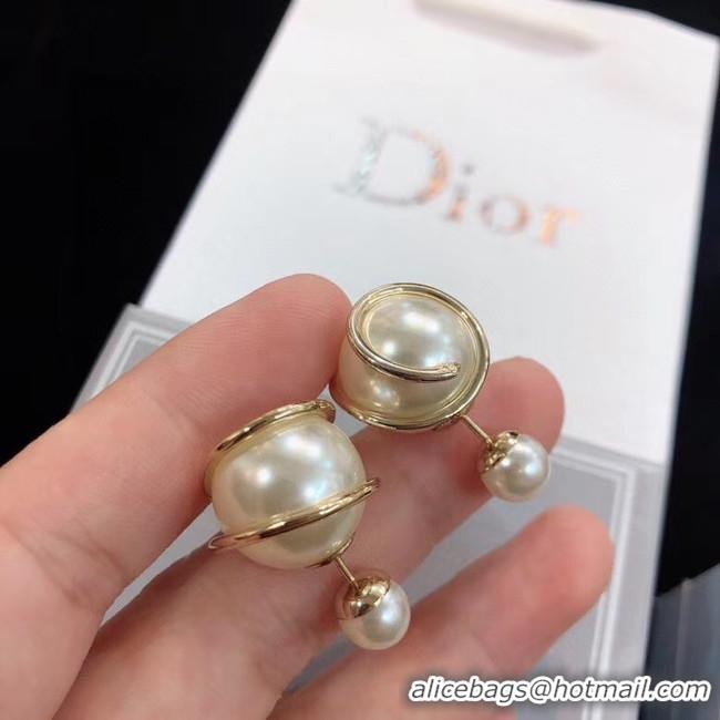 Top Quality Dior Earrings CE5669