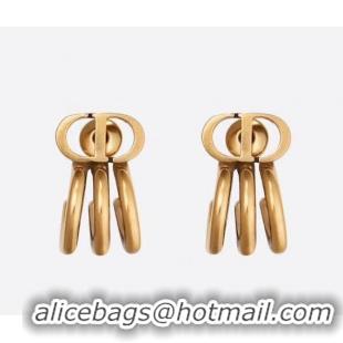 Classic Practical Dior Earrings CE5670