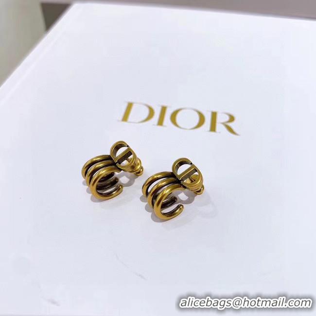 Classic Practical Dior Earrings CE5670