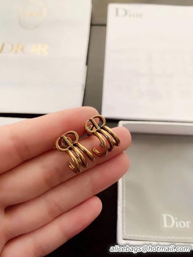 Classic Practical Dior Earrings CE5670