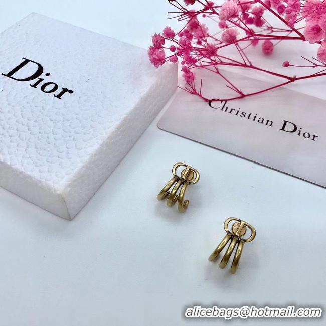 Classic Practical Dior Earrings CE5670