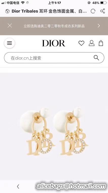 Best Product Dior Earrings CE5671