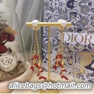 Top Grade Dior Earrings CE5745