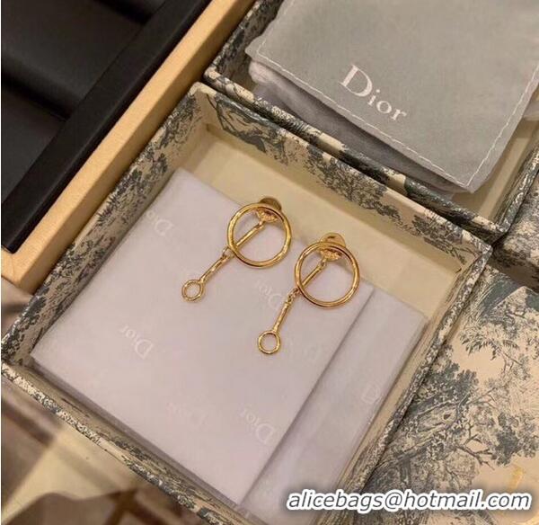 Low Price Dior Earrings CE5746