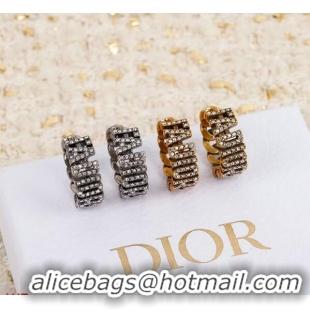 Super Quality Dior Earrings CE5748