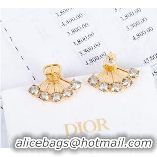 Grade Design Dior Earrings CE5749