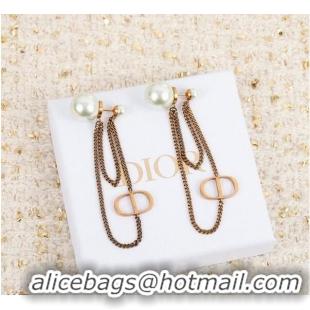 Top Quality Dior Earrings CE5750