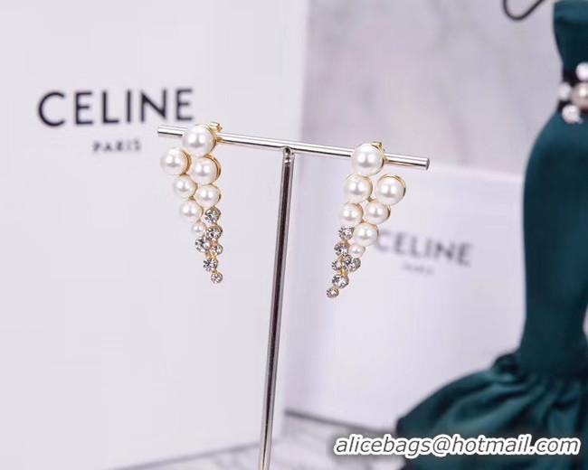 Unique Grade Chanel Earrings CE5265