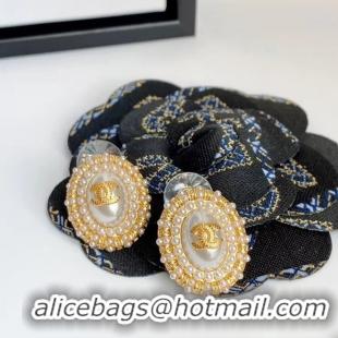 Good Quality Chanel Earrings CE5660