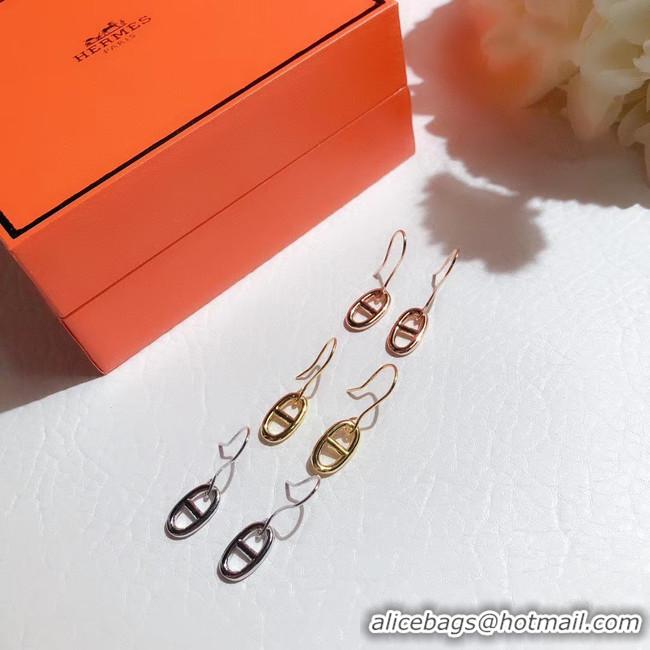 Stylish Hermes Earrings CE5690