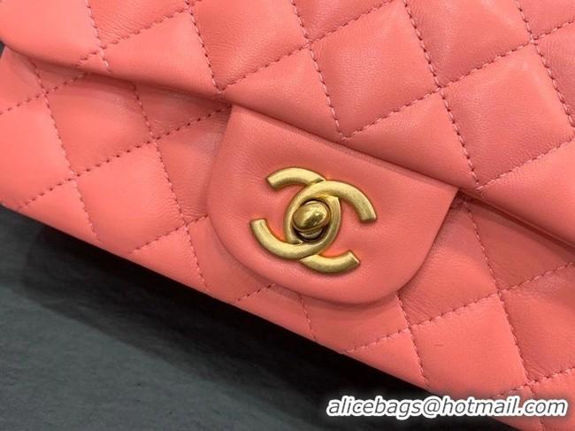 Inexpensive Chanel small tote bag Sheepskin & Gold-Tone Metal AS8816 pink