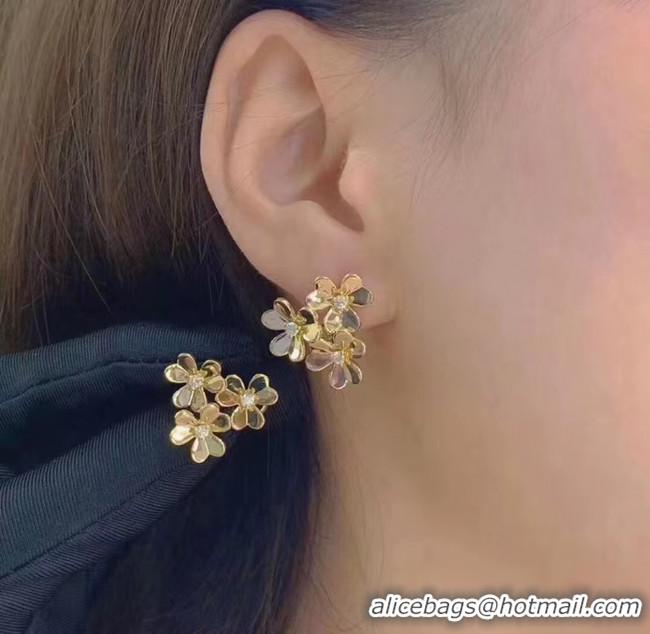 Unique Grade Van Cleef & Arpels Earrings CE5679