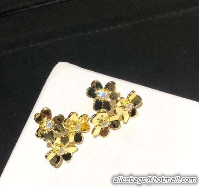 Unique Grade Van Cleef & Arpels Earrings CE5679