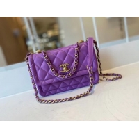 Popular Style Chanel flap bag Calfskin & Gold-Tone Metal AS2055 purple